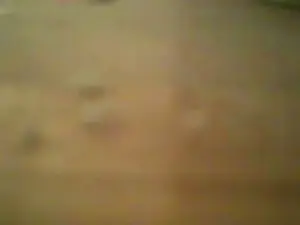 Cam4 Nude Webcam of francois193