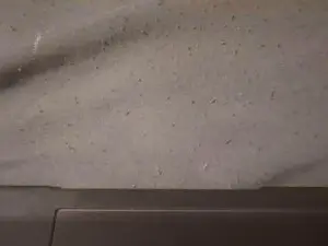 Cam4 Watch Live Sex Cams of pat_labelle1