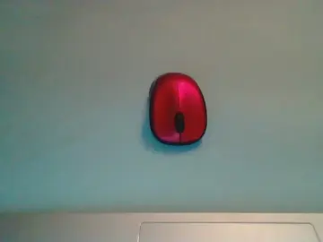 Cam4 Private Sex Chat of Gery1965