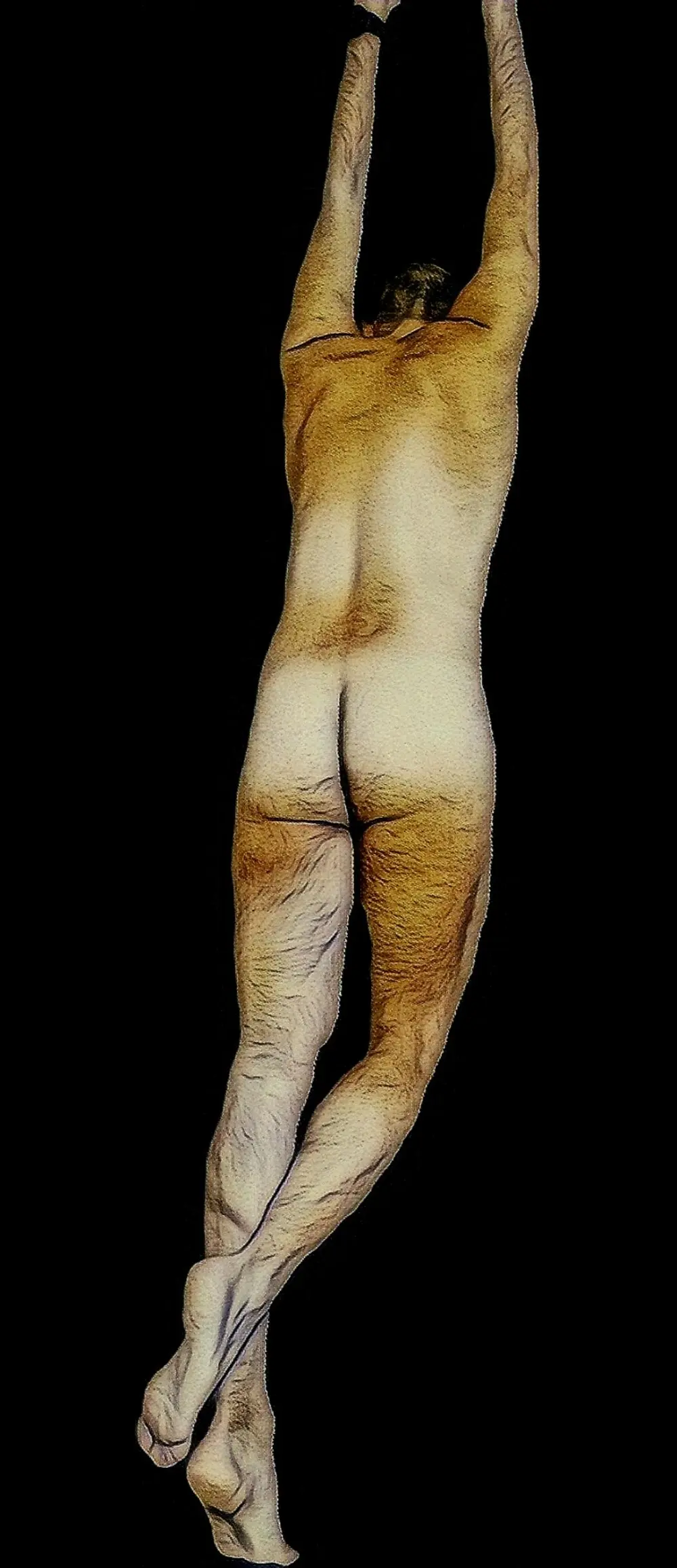 culobianco88