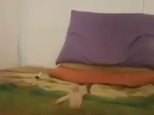 Cam4 Sex Cam of daddy_studfuck