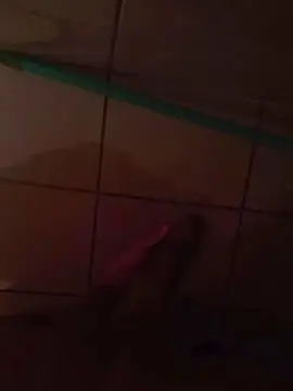 Cam4 Adult Webcams of Granmonda