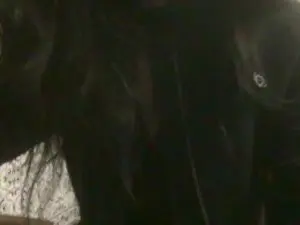 Cam4 Adult Webcam of naughycouple36