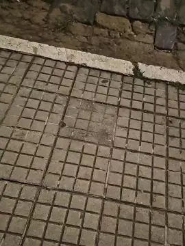 Cam4 Free Live Porn of LeonTiff