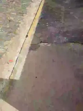 Cam4 Live Sex of LeonTiff