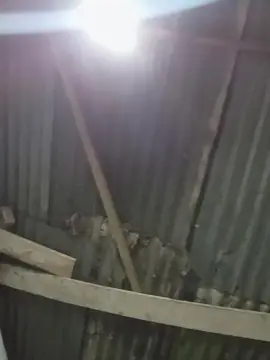 Cam4 Best Webcam of rodri671