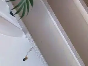 Cam4 Best live sex cam show of Thiebaud