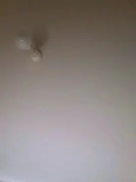 Cam4 Live Porn of Deni_loss