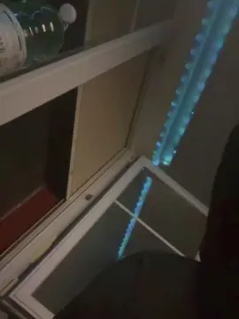 Cam4 Adult Webcam of Nelsonlcs1990