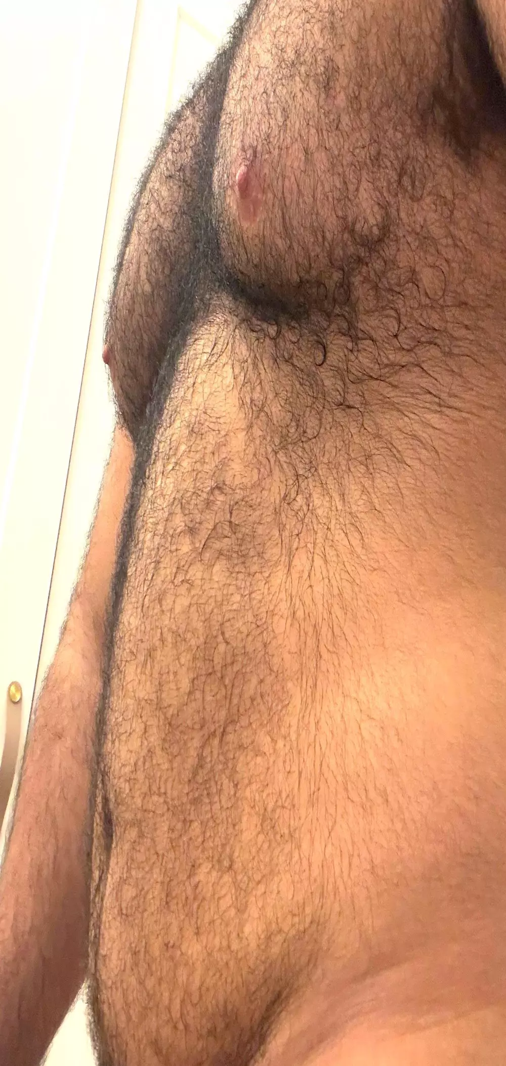 bearhairs