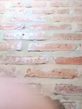 Cam4 Best Webcam of gon224