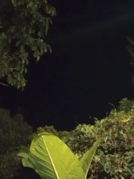 Cam4 Free Porn Cam of chupala_puto