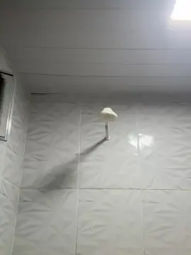 Cam4 Free Live Porn of Doug337