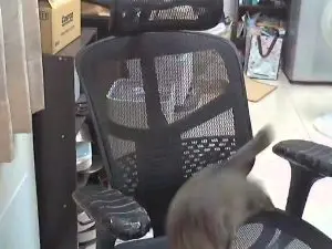 Cam4 Adult Webcams of lQAQl