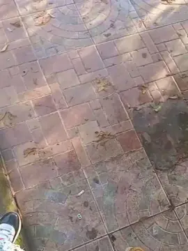 Cam4 Free Porn Cam of hardsexlove08