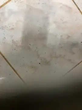 Cam4 Live Porn of GoianoHet