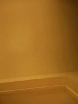 Cam4 Private Sex Chat of margot30