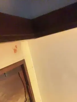 Cam4 Private Sex Chat of joao_xc