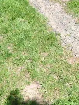 Cam4 Live Porn of Buggychad64