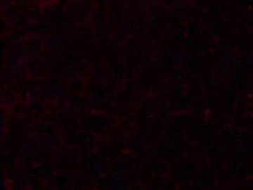 Cam4 Best live sex cam show of CocckDesttroyer