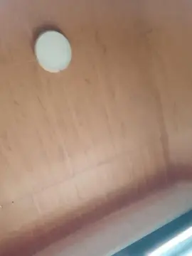 Cam4 Sex Cam of negratafun
