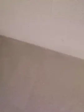 Cam4 Adult Webcam of Supreme_x