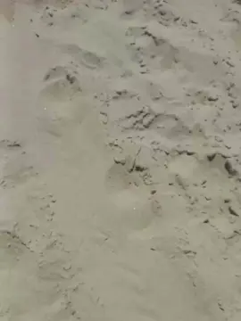 Cam4 Free Live Porn of daniel69sexyhot