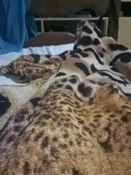 Cam4 Live Porn of dotadobh3