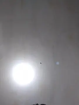 Cam4 Adult Video Chat of Andetsongg