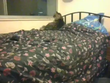 Cam4 Free Live Porn of sandracorazada