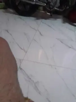 Cam4 Sex Chat of Trosogroso