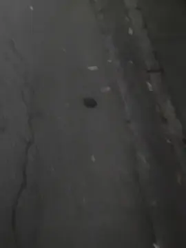 Cam4 Best Webcam of BielStan