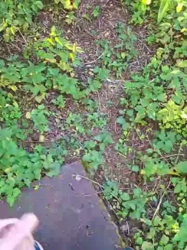 Cam4 Watch Live Sex Cams of hotbody18y