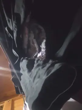 Cam4 Sex Cam of namaxxx