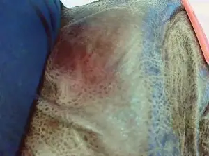 Cam4 Watch Live Sex Cams of giveucum