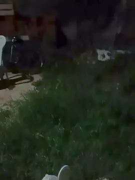 Cam4 Live Porn of Flanjuh