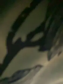 Cam4 Watch Live Sex Cams of mucilondogera