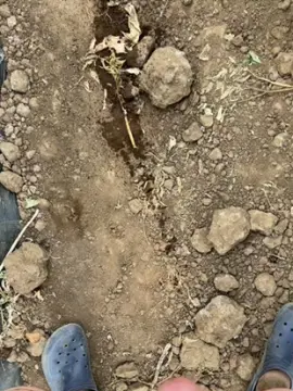 Cam4 Live Sex Cam of Rntzr94