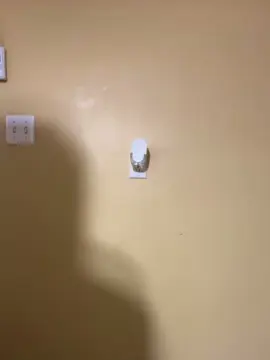 Cam4 Sex Chat of tonyboys69