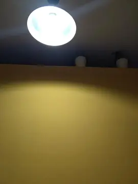 Cam4 Live Sex of Fredylover