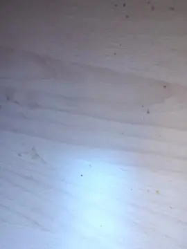 Cam4 Adult Webcams of Fredylover