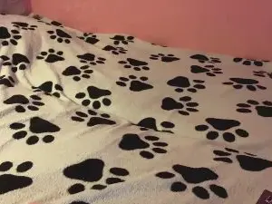 Cam4 Free Live Porn of JenaGishal
