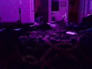 Cam4 Best live sex cam show of SoberJudge26