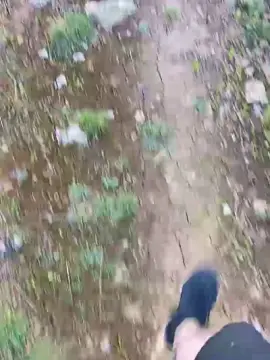 Cam4 Watch Live Sex Cams of Tiago1990FCM