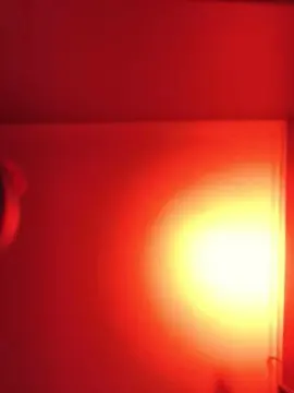 Cam4 Live Sex of jereklein24k