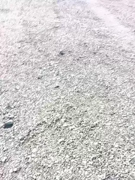 Cam4 Adult Webcam of livenews1