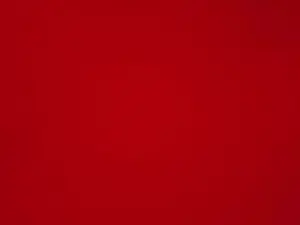 Cam4 Best Webcam of PAKOMIRANDAXXX