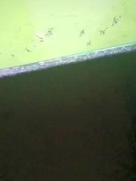 Cam4 Best live sex cam show of lucifer497