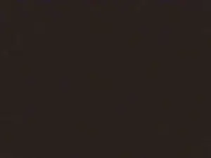 Cam4 Sex Chat of Marcelluswal1