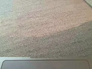 Cam4 Best Webcam of rutgerf